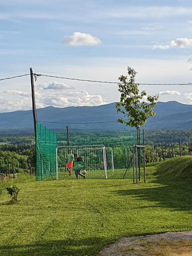 Vineyard Cottage Lan Na Hribu Semic Zewnętrze zdjęcie